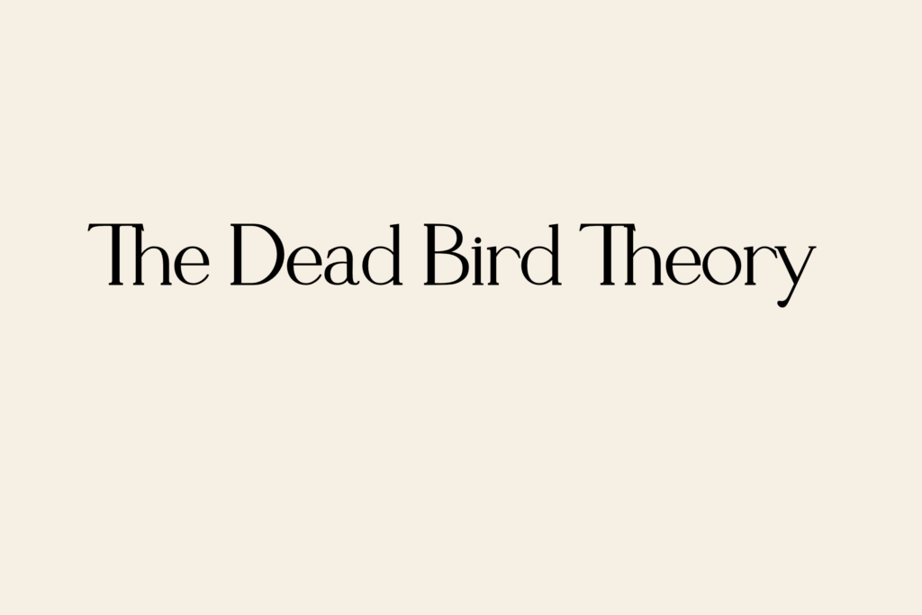 The Dead Bird Theory- boundaries 